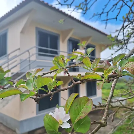Villa Correia - Ribeiro Frio Sao Roque Do Faial Exterior photo