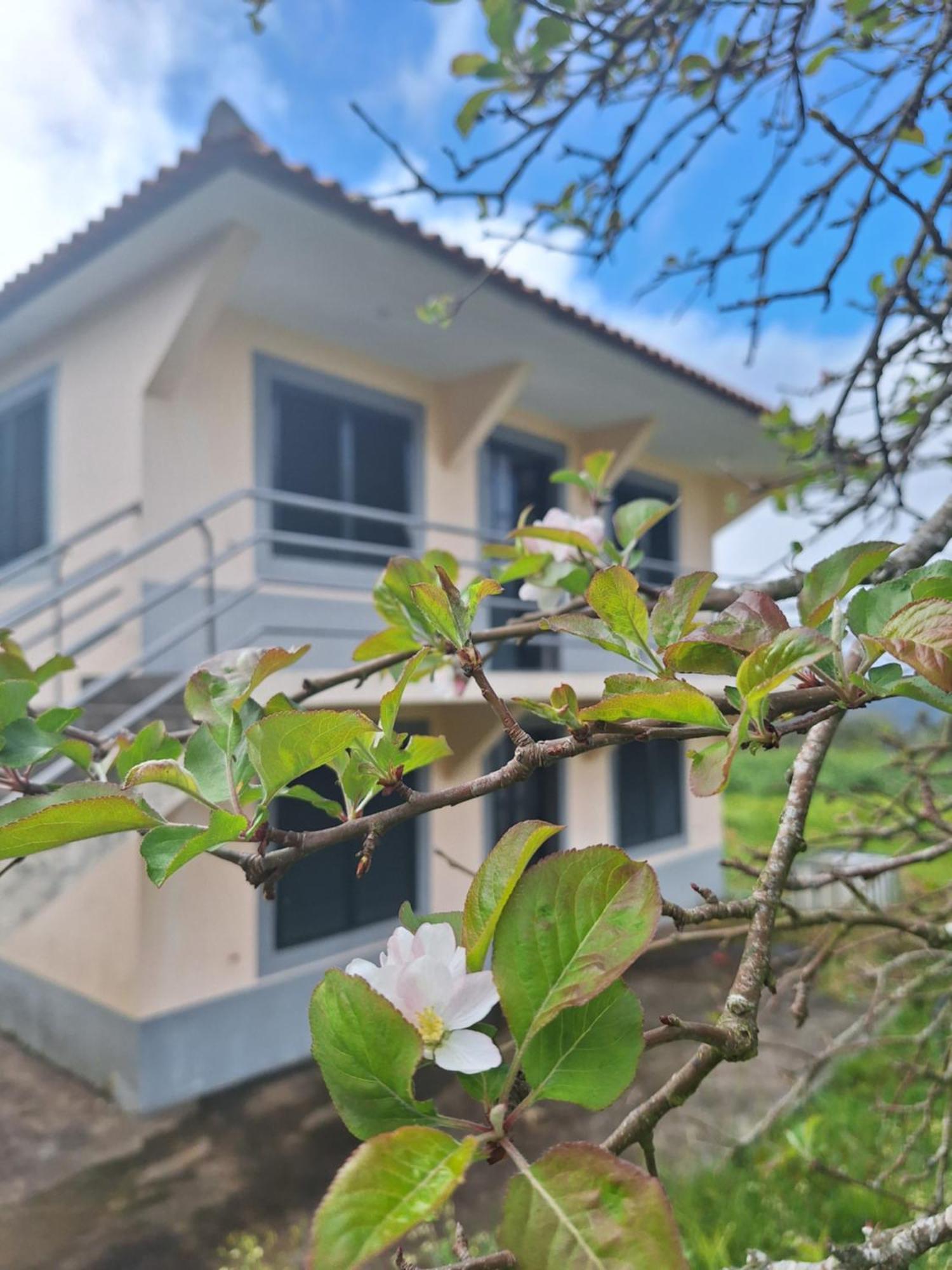 Holiday home Correia - Ribeiro Frio *
